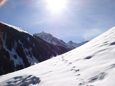 Bregenzerwald