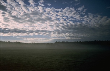 Früher Morgen Nähe Storre Mosse, Schweden